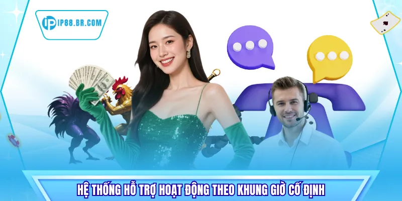 Hệ thống hỗ trợ hoạt động theo khung giờ cố định