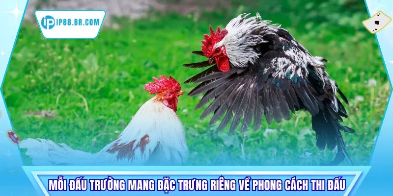 Mỗi đấu trường mang đặc trưng riêng về phong cách thi đấu